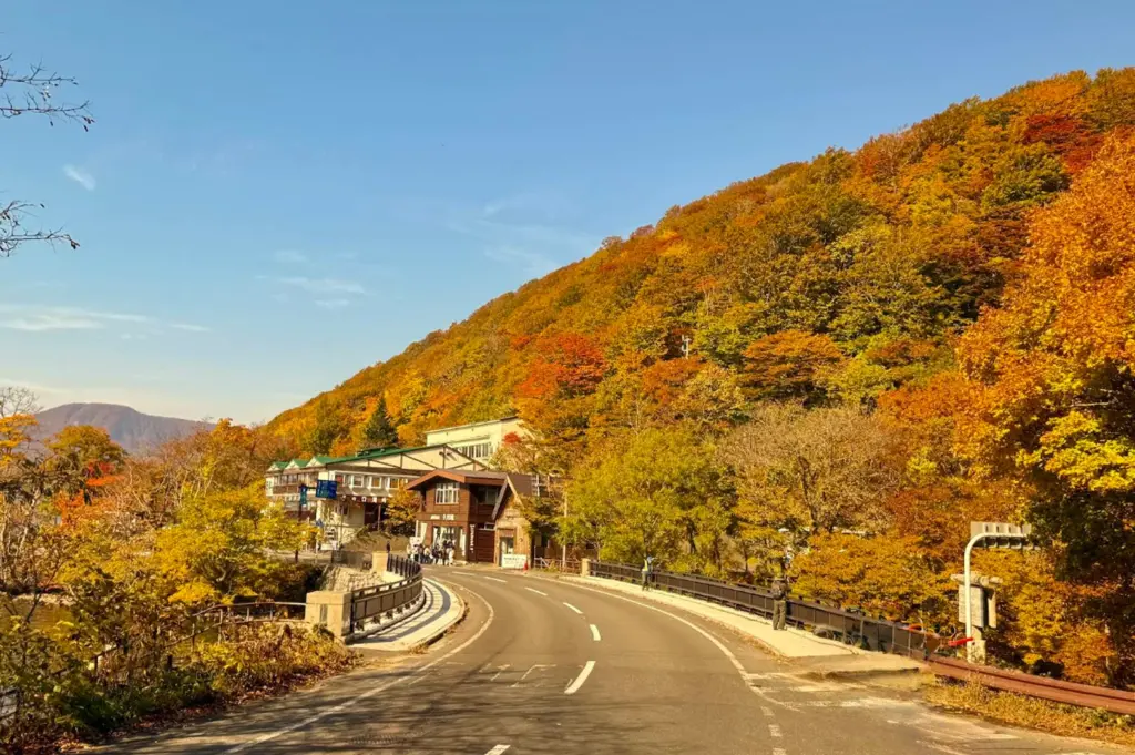 A winding two-lane asphalt road curves through a vibrant autumnal landscape. To the right, a steep hillside is densely covered in trees with foliage in brilliant shades of gold, orange, and deep red. On the left, traditional Japanese-style wooden buildings with gabled roofs sit nestled at the base of the hill. A clear, bright blue sky sits above the mountain peak in the distance, and the warm sunlight casts long, soft shadows across the road.