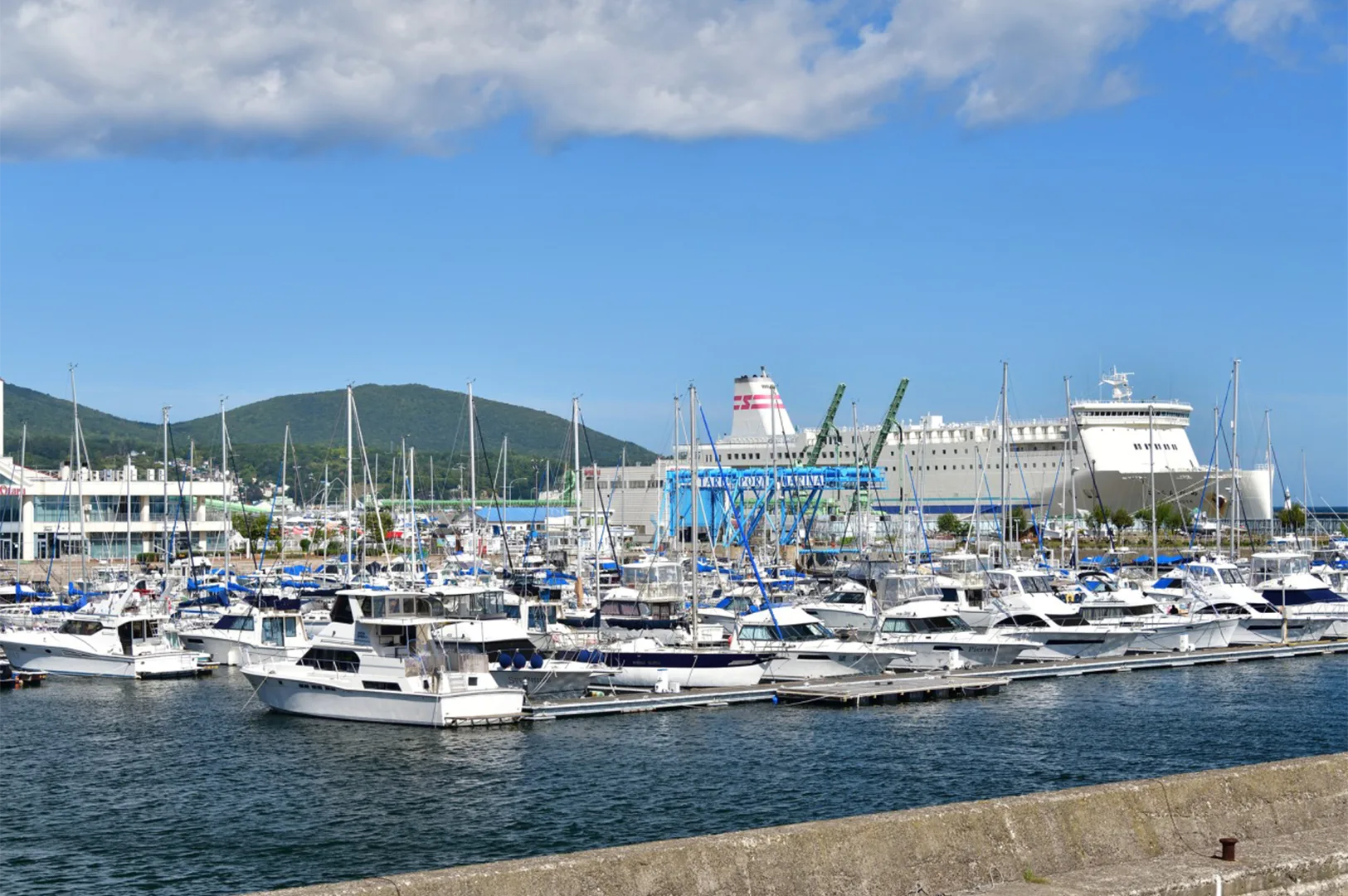 A bright summer day at Otaru Marina featuring luxury yachts, sailboats, and a large white ferry against a blue sky.