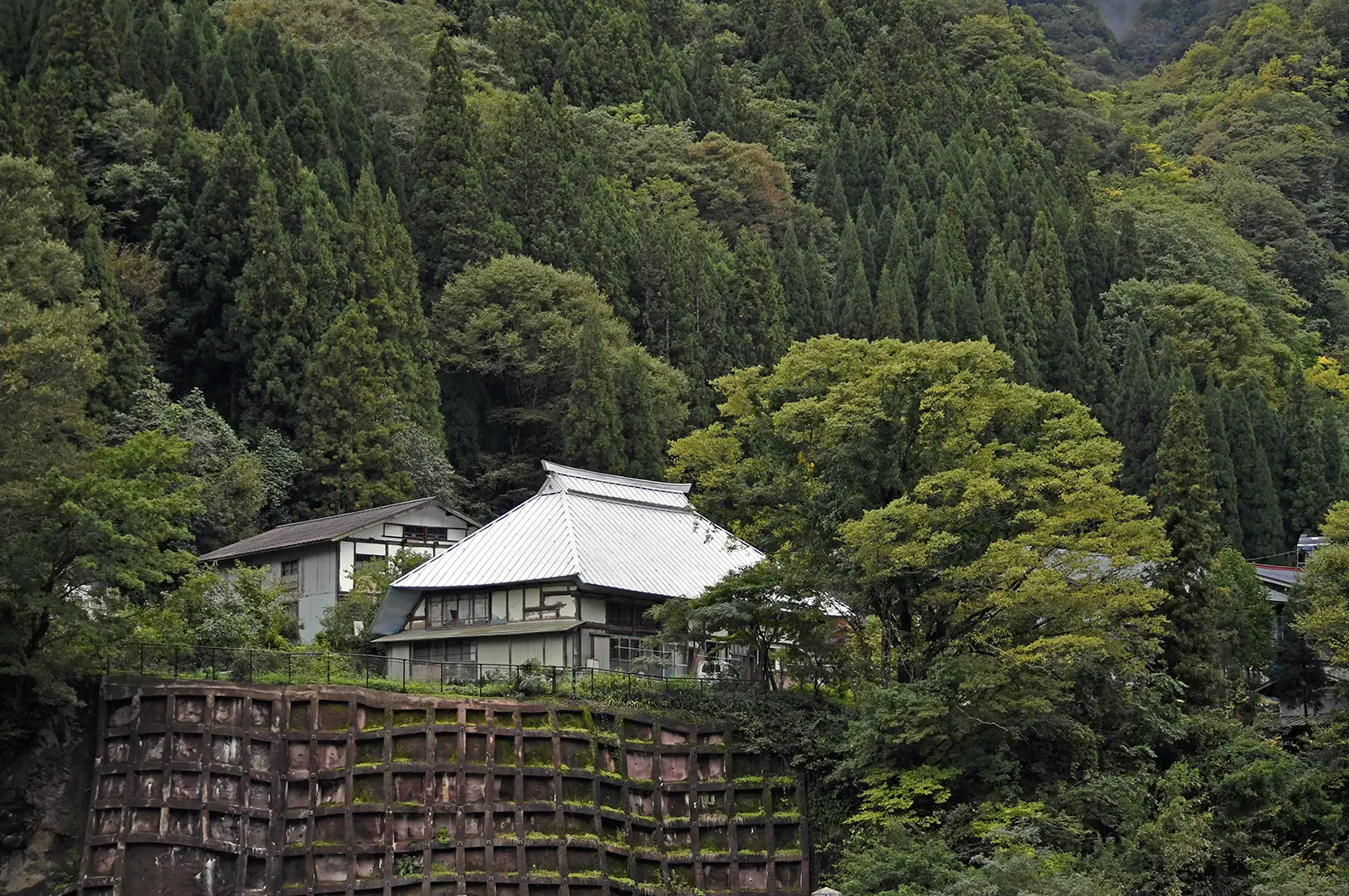 A scenic shot of a traditional Japanese farmhouse with a prominent, steep silver-colored hipped roof. The house is nestled on a hillside supported by a tall, gridded concrete retaining wall weathered with moss. The building is surrounded by a dense, layered forest of dark green coniferous and deciduous trees, with the misty peaks of a mountain visible in the upper right corner.