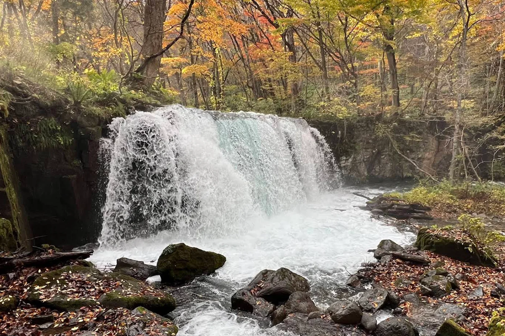 A stunning autumn landscape featuring a waterfall cascading over rocks into a stream. The surrounding forest is ablaze with vibrant fall colors—yellow, orange, and red leaves—reflecting the peak of the season. The water looks clear and cool, creating a peaceful nature scene.