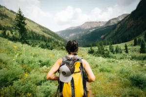 Back view of a hiker wearing a yellow backpack walking along a mountain trail surrounded by green valleys, wildflowers, pine trees, and rocky peaks under a cloudy sky