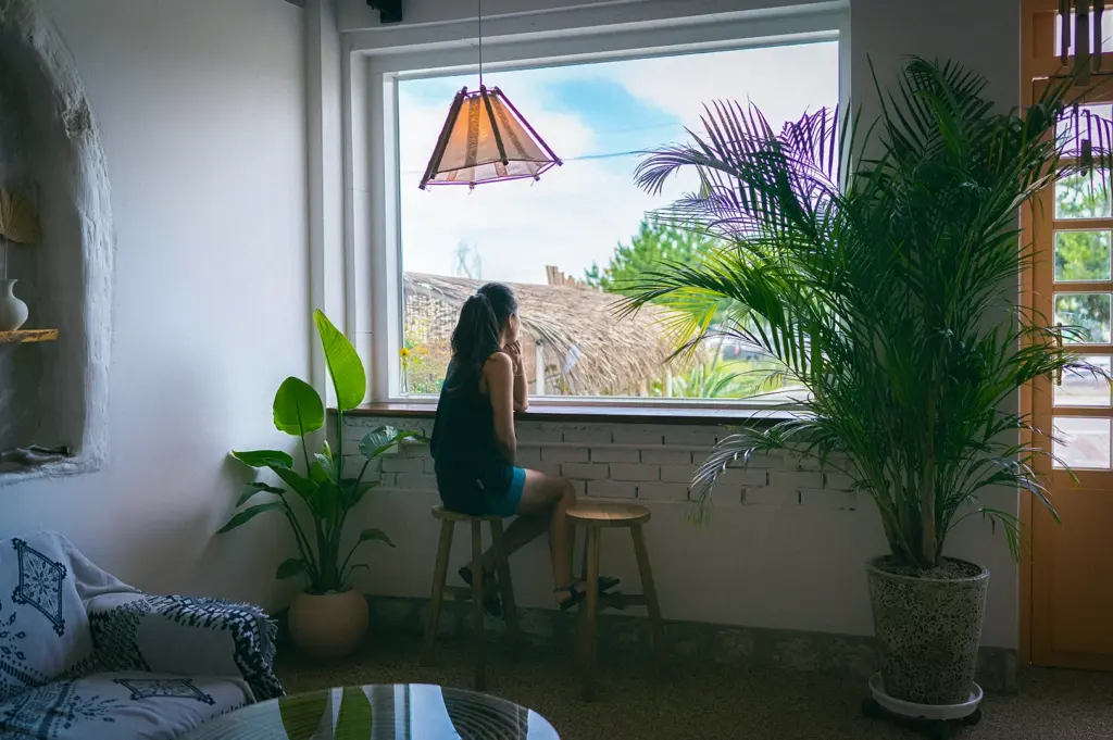 Woman sitting by a large cafe window surrounded by tropical indoor plants in a cozy minimalist interior with natural daylight and warm decor