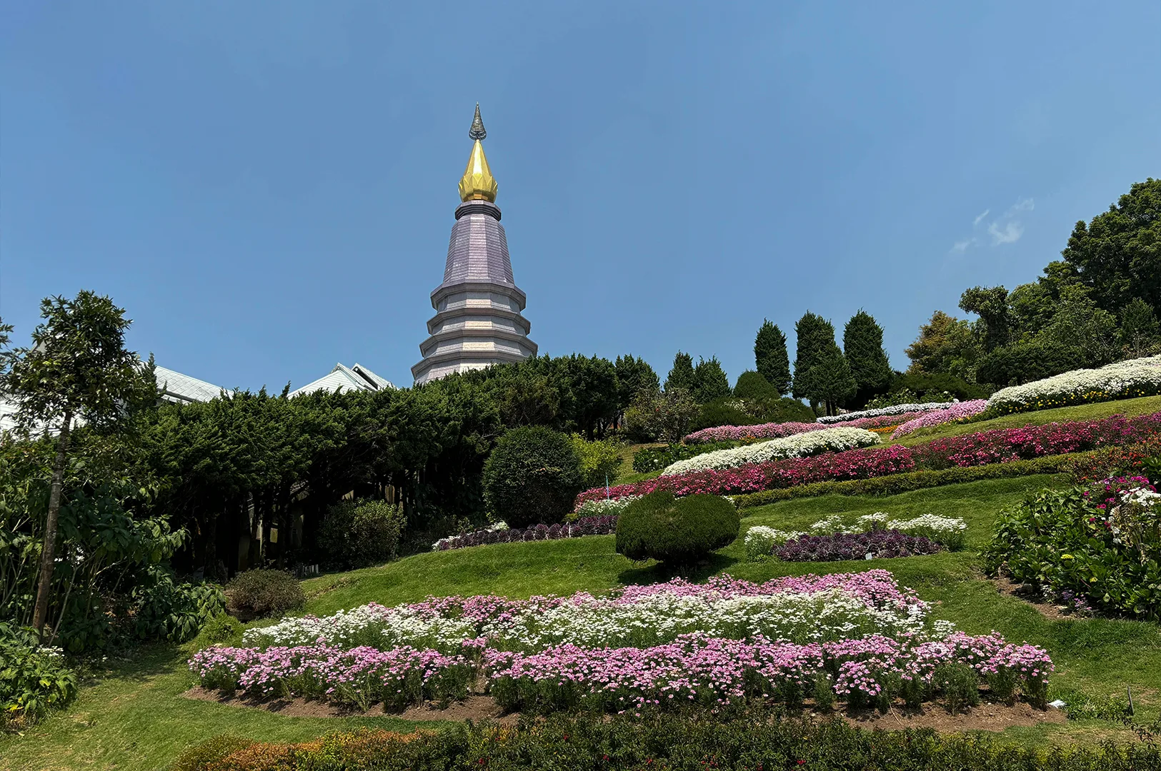 A vibrant landscape shot featuring a tiered garden on a hillside, overflowing with neat rows of pink and white flowers. In the background, a large, modern stupa with a purple-grey base and a gleaming gold spire reaches toward a pale blue, cloudless sky. Thick green manicured bushes and evergreen trees frame the floral displays, showcasing the lush, well-tended vegetation typical of high-altitude parks in the region.