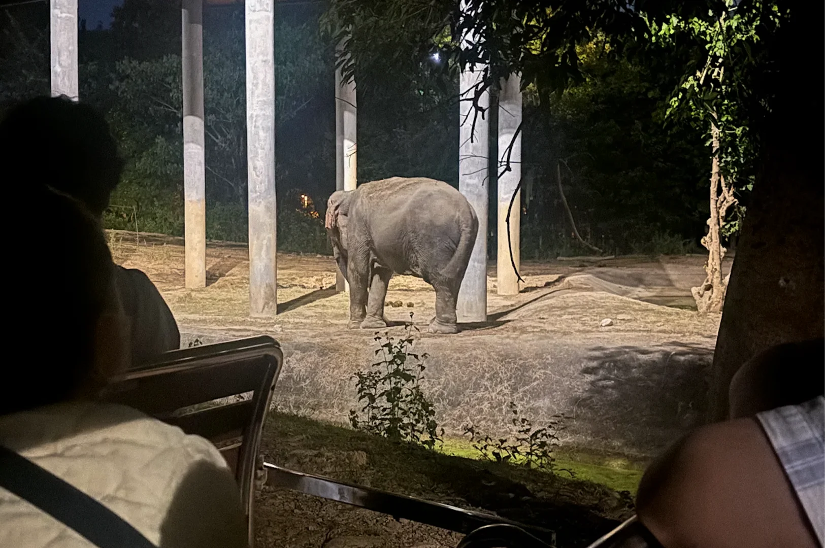 Visitors riding a night safari tram while viewing an elephant enclosure illuminated by spotlights at Chiang Mai Night Safari in Thailand