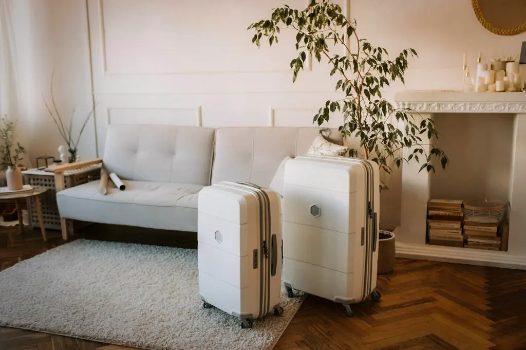 Two white hard-shell suitcases standing in a cozy modern living room with wooden flooring, indoor plants, and minimalist home decor, symbolizing travel preparation or moving out