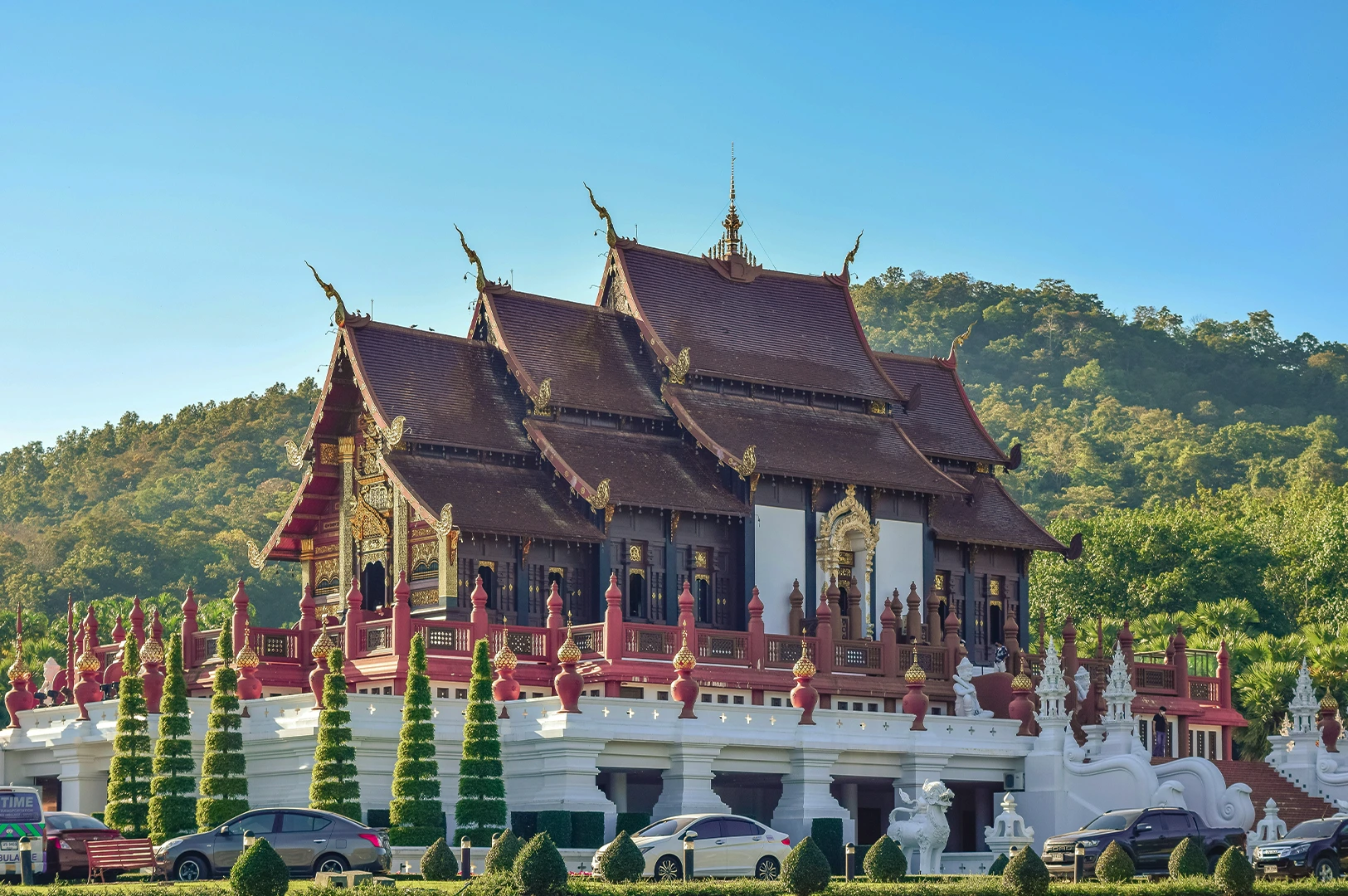 This wide shot captures the stunning Ho Kham Luang (Royal Pavilion) at Royal Park Rajapruek under a clear blue sky. The pavilion is a magnificent example of traditional Lanna architecture, featuring dark brown wooden walls, multi-tiered burgundy roofs with golden finials, and a white stone base. In the foreground, perfectly manicured, cone-shaped green trees and smaller shrubs line the bright white terrace. Several modern cars are parked in a lot at the very bottom of the frame, contrasting the ancient architectural style with modern life.