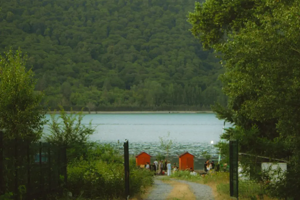 Scenic forest lake surrounded by lush green mountains, with a winding path leading to the waterfront in a tranquil natural landscape.a