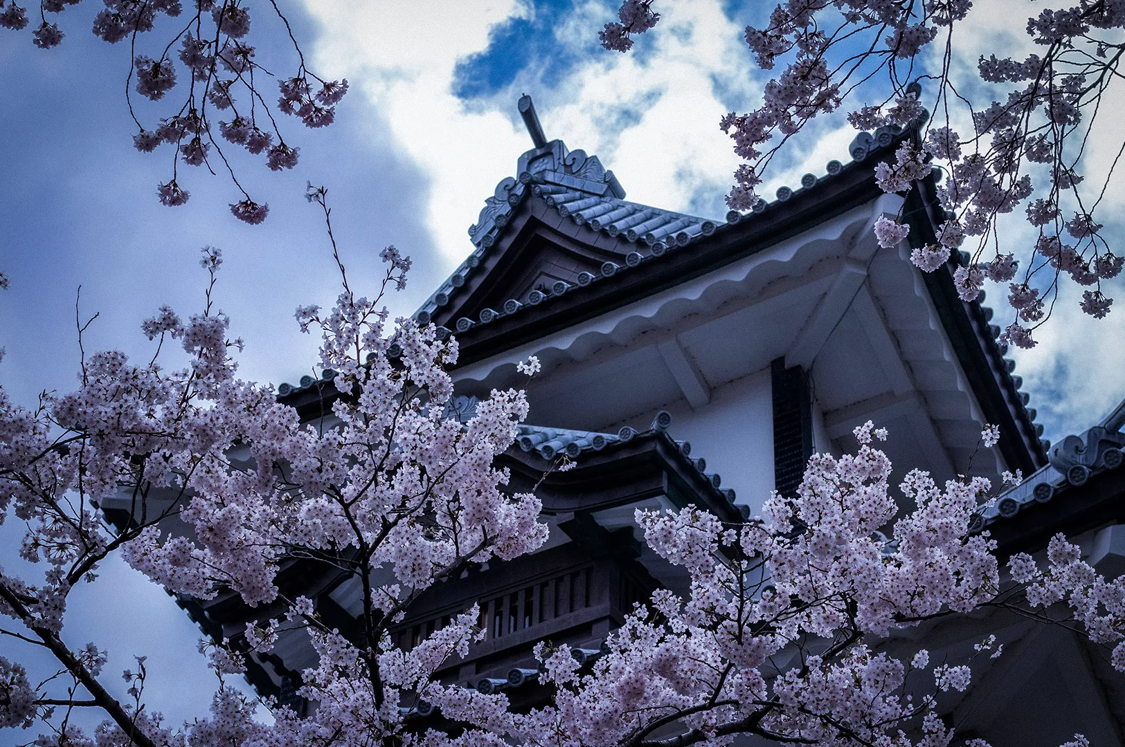 Kanazawa Castle surrounded by blooming cherry blossom trees during sakura season, showcasing traditional Japanese architecture against a cloudy spring sky.
