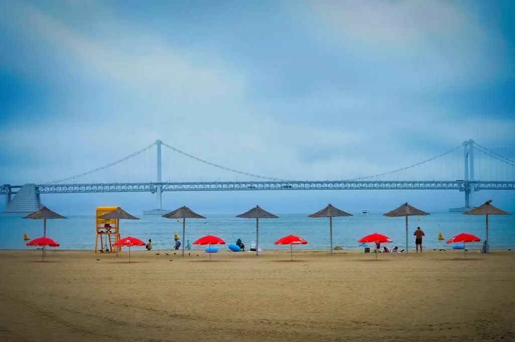 Gwangalli Beach in Busan with red beach umbrellas, sandy shoreline, and the iconic Gwangan Bridge stretching across the sea on a cloudy day.