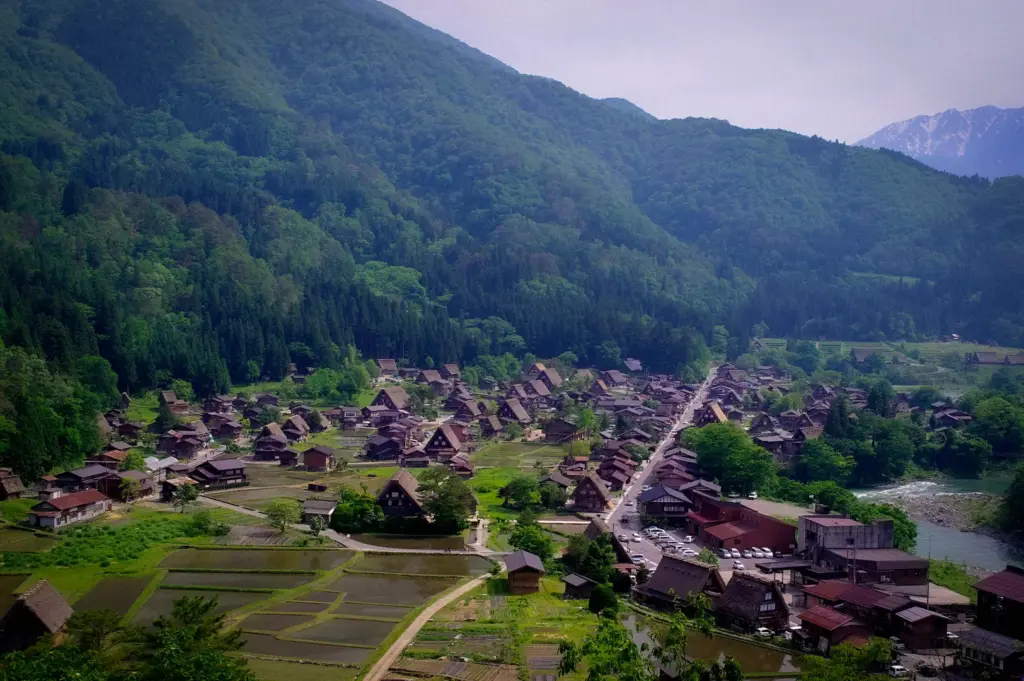 Panoramic view of Shirakawa-go Village in Gifu, Japan, showcasing traditional gassho-zukuri farmhouses, lush green mountains, rice fields, and the Shogawa River.