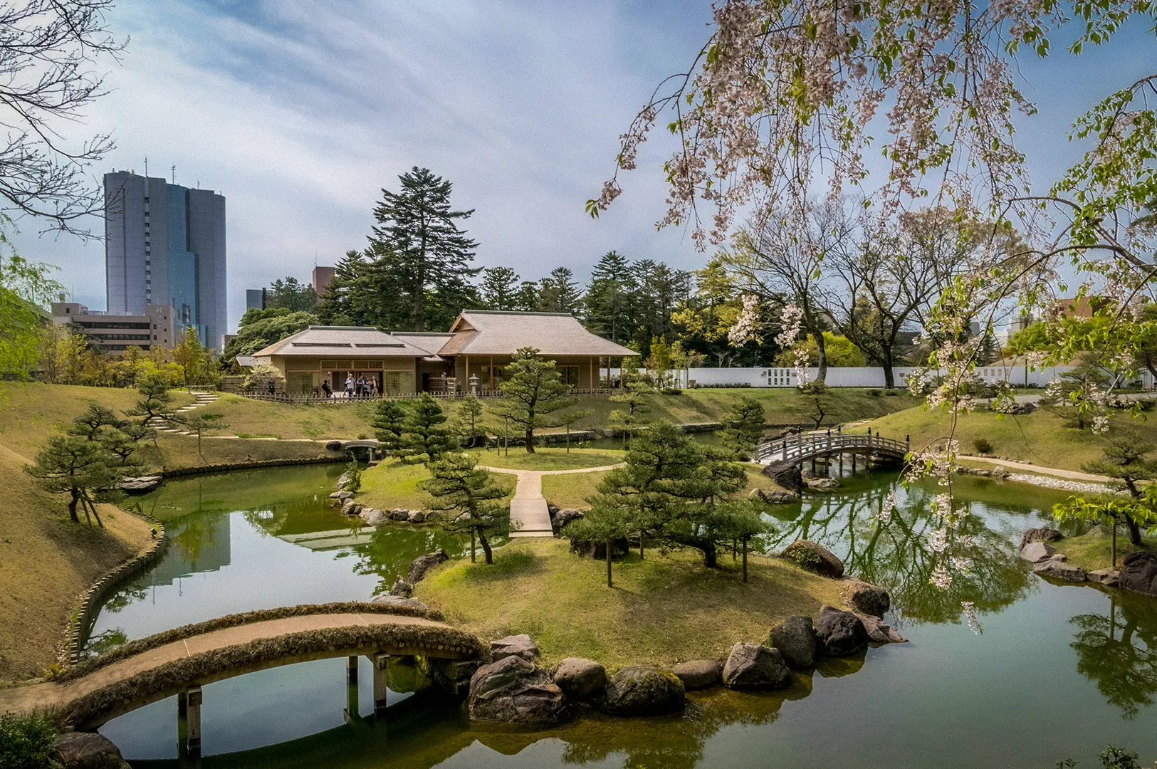 Traditional Japanese garden in Kanazawa, Japan, featuring arched bridges, tranquil ponds, manicured pine trees, and scenic cherry blossoms near a historic teahouse.