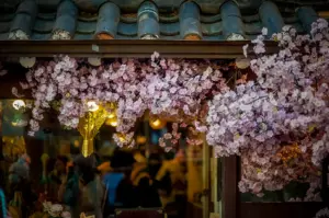 Cherry blossom flowers decorating a traditional Korean rooftop café entrance in South Korea with warm interior lighting and a scenic spring atmosphere.