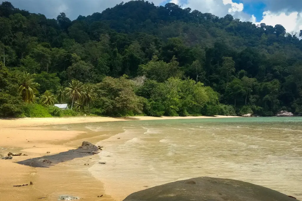 Peaceful beach on Tioman Island, Malaysia, featuring soft sandy shores, clear turquoise water, tropical rainforest, and a secluded coastline.