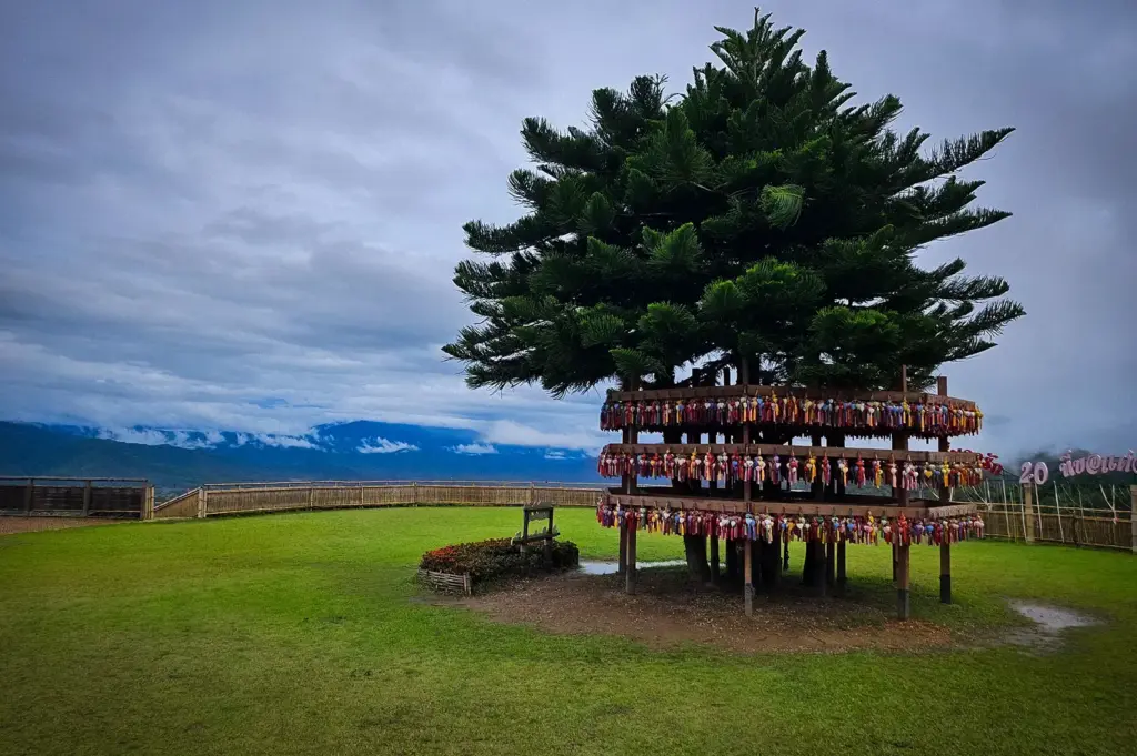 Yun Lai Viewpoint in Pai, Thailand featuring a scenic mountain panorama, lush green lawn, and the iconic decorated pine tree overlooking misty hills.