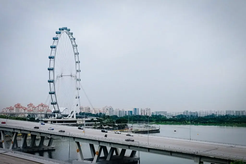 Singapore Flyer observation wheel overlooking Marina Bay with surrounding highways, waterfront, and city skyline on an overcast day.
