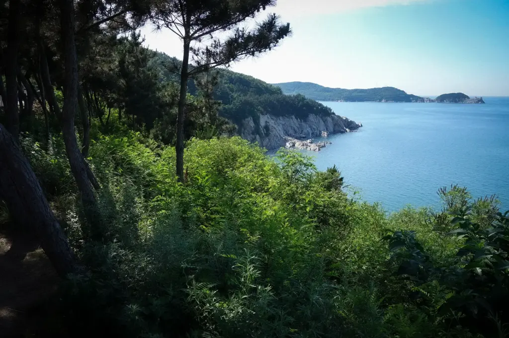 Scenic coastal landscape with pine trees, lush greenery, rocky cliffs, calm blue ocean, and forested islands in the distance.