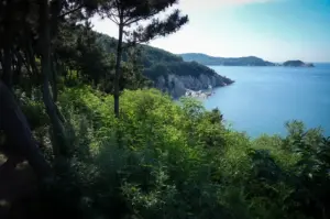 Scenic coastal landscape with pine trees, lush greenery, rocky cliffs, calm blue ocean, and forested islands in the distance.