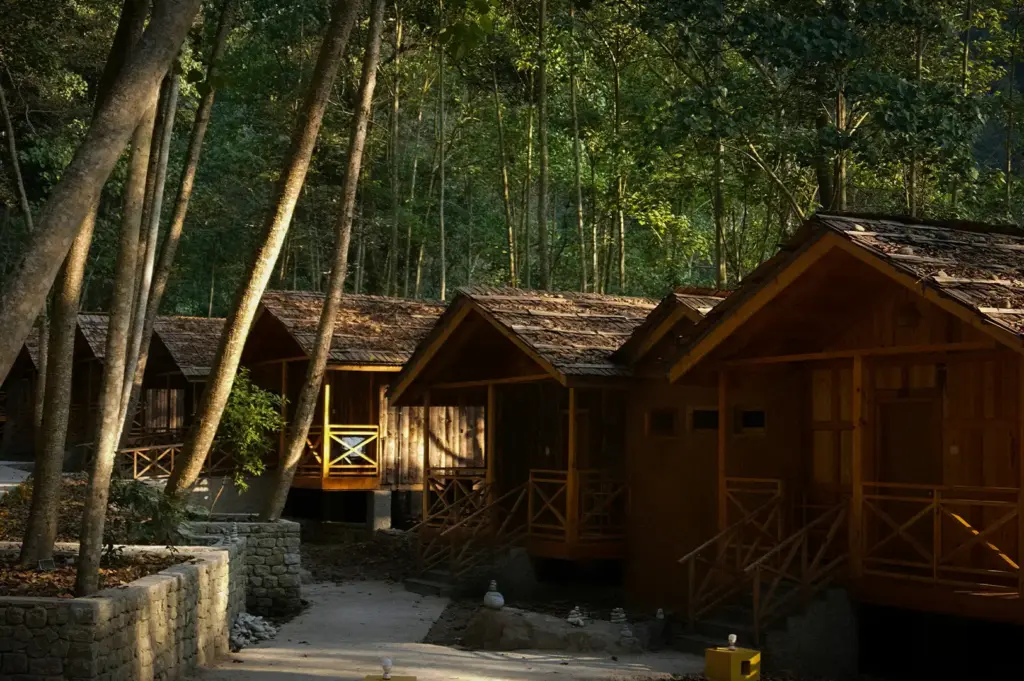 Rustic wooden homestay cabins surrounded by lush forest with walking paths, offering a peaceful nature retreat in a tranquil woodland setting.