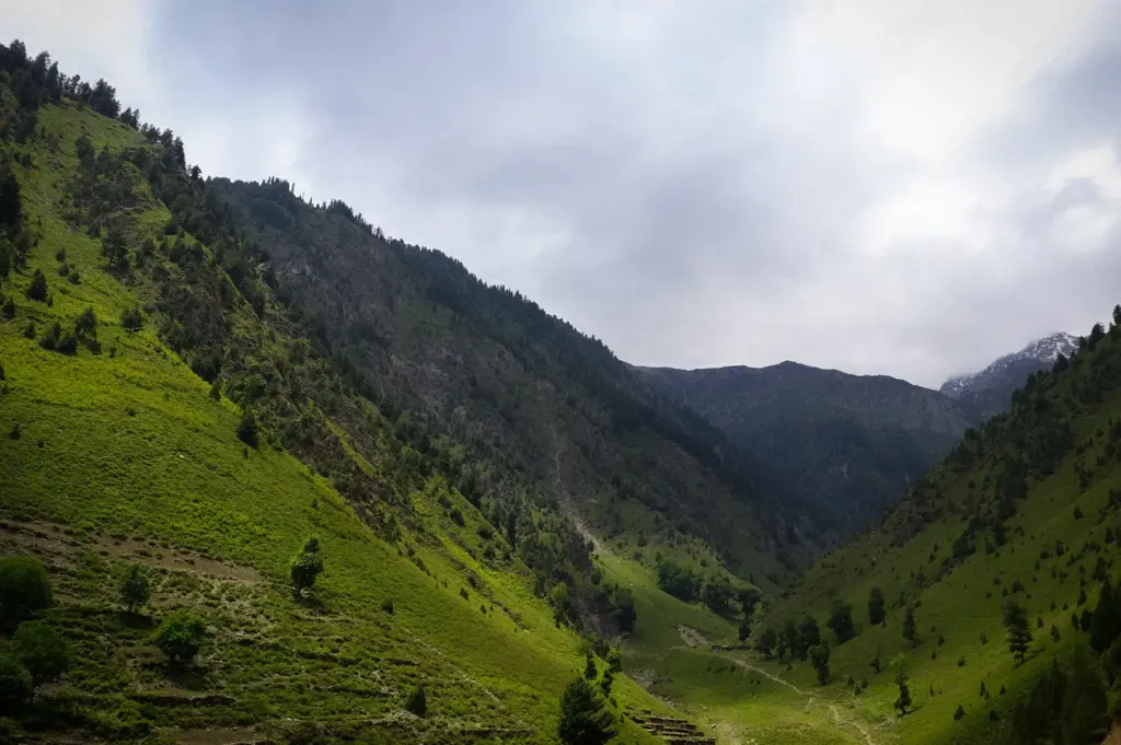 Lush green mountain valley surrounded by forested slopes, rugged peaks, winding trails, and a distant snow-capped mountain beneath a cloudy sky.