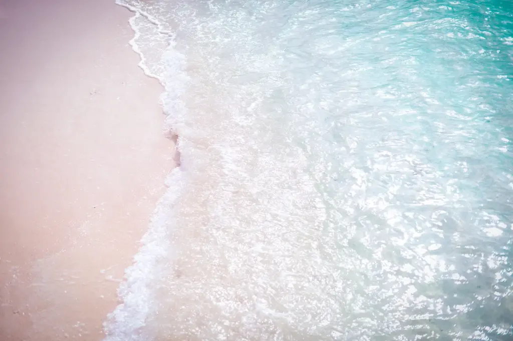 Tropical beach with soft white sand and clear turquoise water along the shoreline
