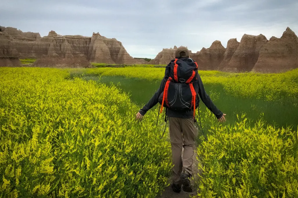 Backpacker hiking through a yellow wildflower field toward rugged rock formations on an outdoor adventure