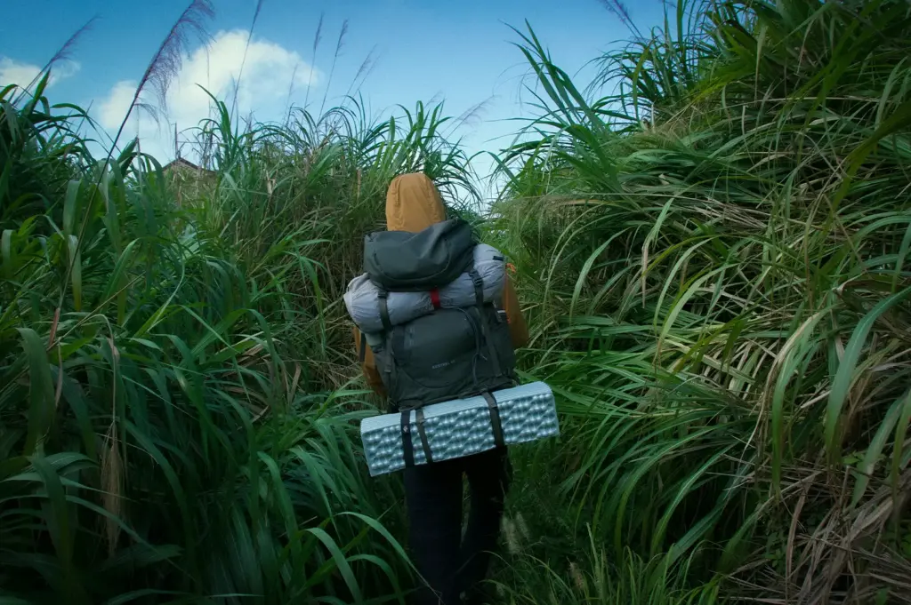 Backpacker carrying a large hiking pack and sleeping mat while trekking through tall grass on an outdoor adventure
