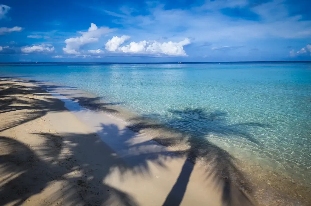 Tropical beach with clear turquoise water, soft sand, palm tree shadows, and a bright blue sky with clouds