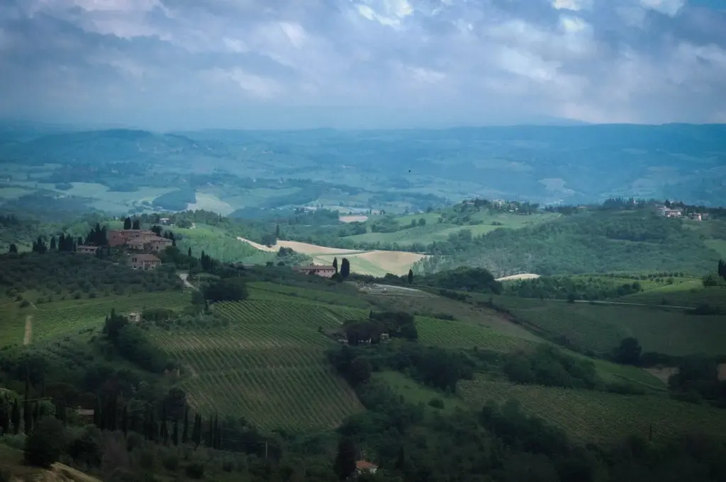 Tuscany countryside landscape with rolling green hills, vineyards, olive groves, cypress trees, farmhouses, and distant hills beneath a cloudy sky.