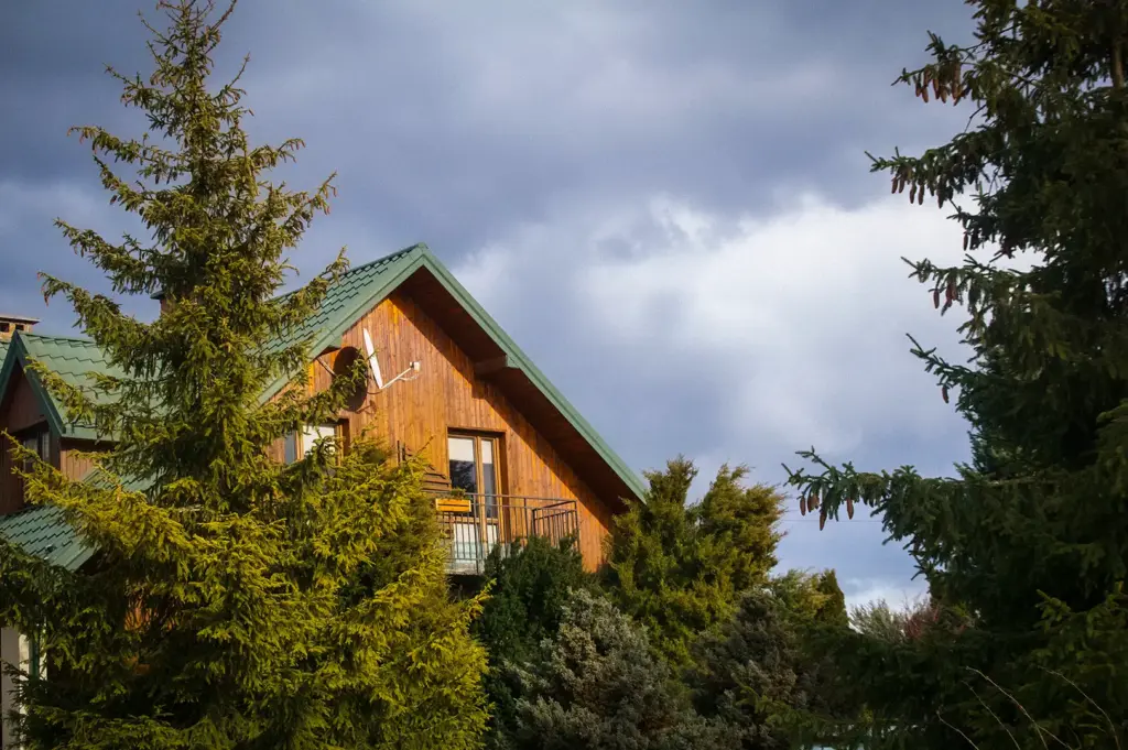 Rustic wooden vacation cabin with a green gabled roof and balcony, framed by tall pine and evergreen trees under a cloudy sky