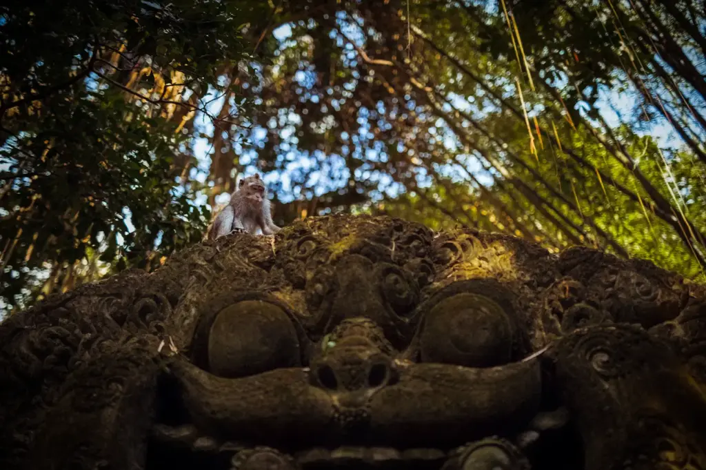 A small monkey perched atop an intricate, moss-covered stone carving in the lush forest of Ubud, Bali, Indonesia.