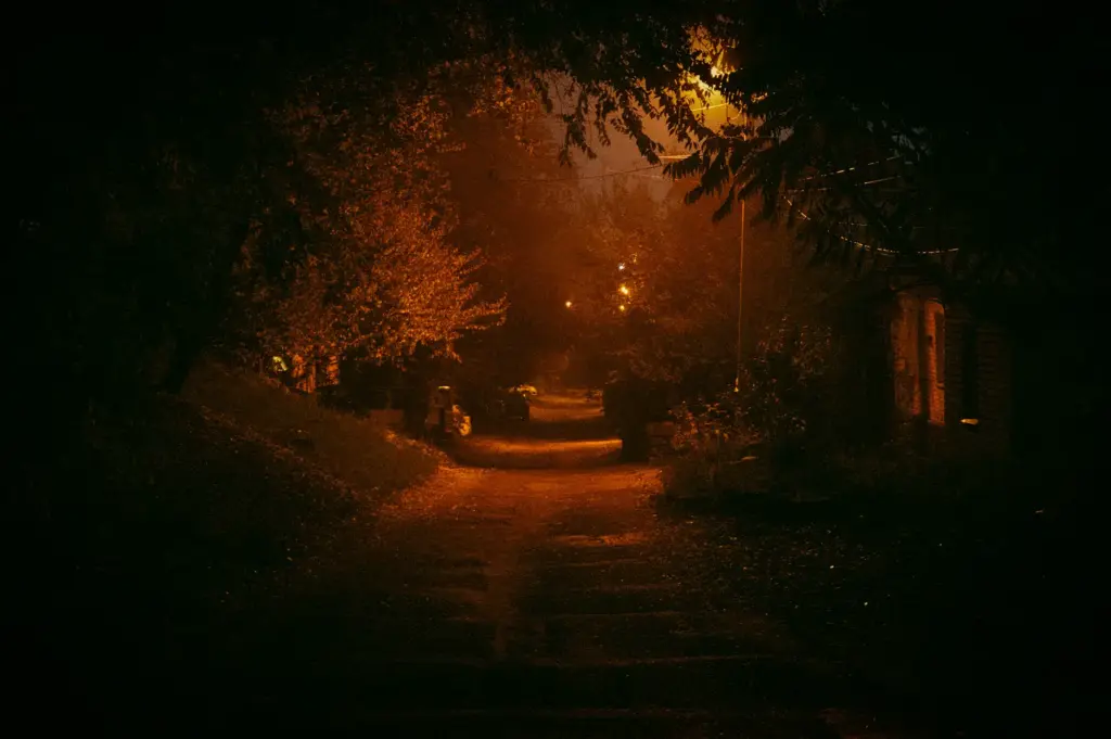 Quiet tree-lined street at night illuminated by warm streetlights.