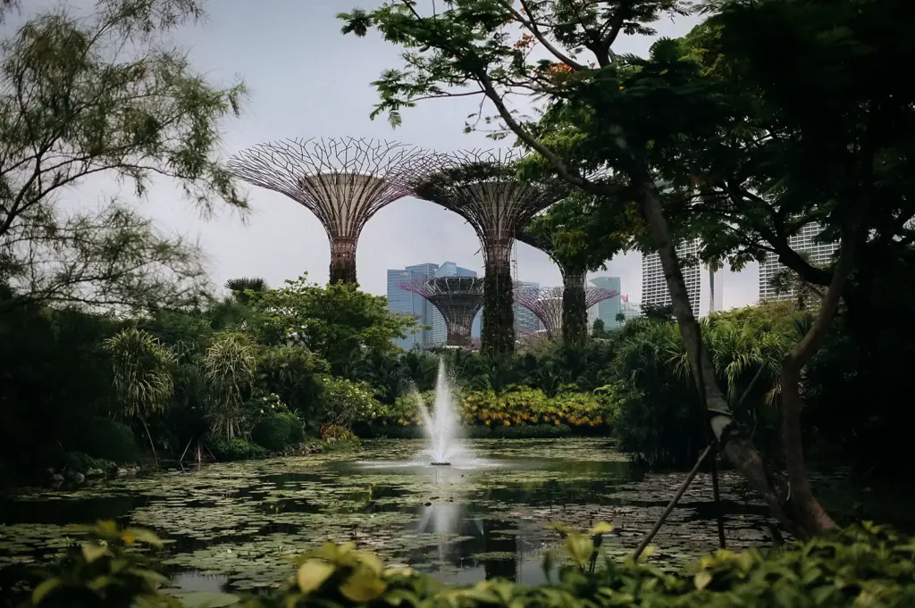 Gardens by the Bay in Singapore featuring Supertree Grove, a lush garden, and a fountain-covered pond with the city skyline in the background.