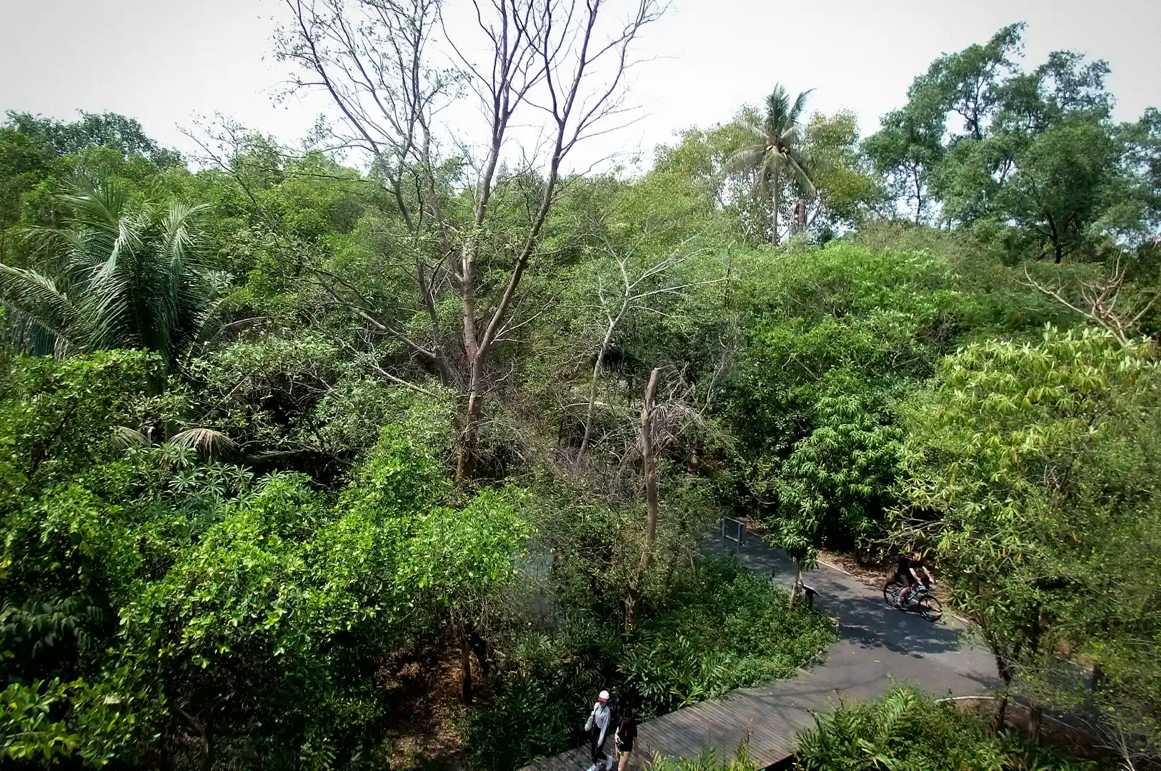 Bang Kachao Bangkok with lush greenery, cycling paths, and visitors exploring the tropical urban oasis