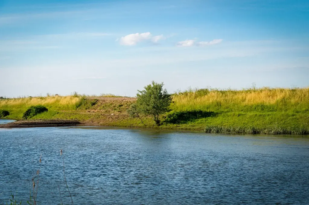 Riverside landscape with calm water, grassy fields, reeds, and a lone tree beneath a clear blue sky.