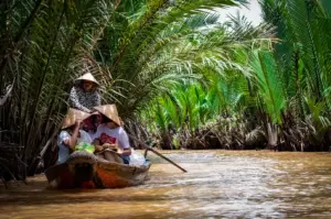 Tourists wearing traditional conical hats enjoying a scenic boat ride along the muddy waters of the Mekong River under a canopy of lush green palm trees