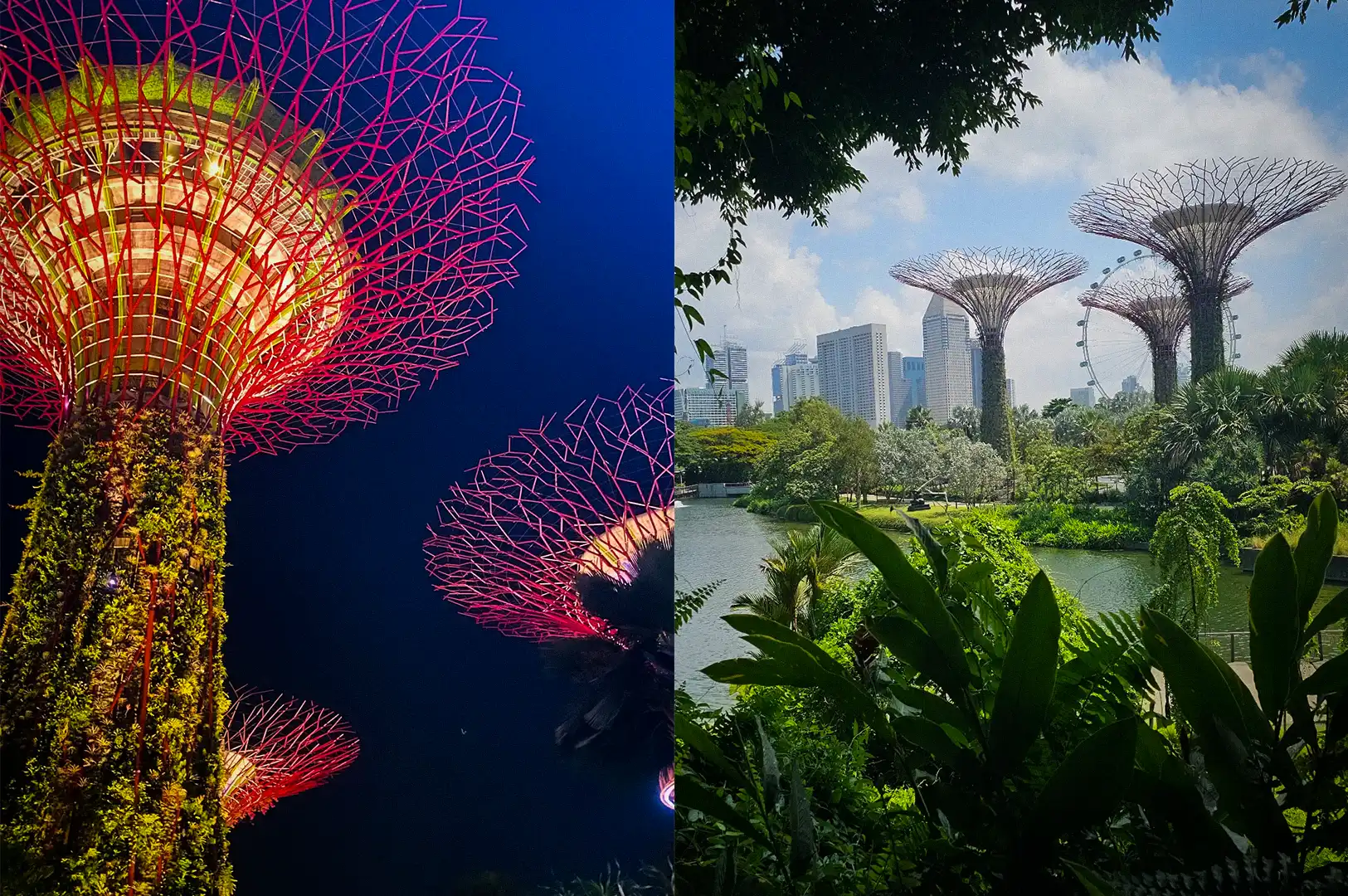 A two-image collage of Gardens by the Bay in Singapore, featuring a dramatic low-angle night view of the illuminated Supertrees glowing in vibrant red and pink, alongside a daytime scenic view of the Supertrees framed by lush waterfront foliage and distant city skyscrapers.