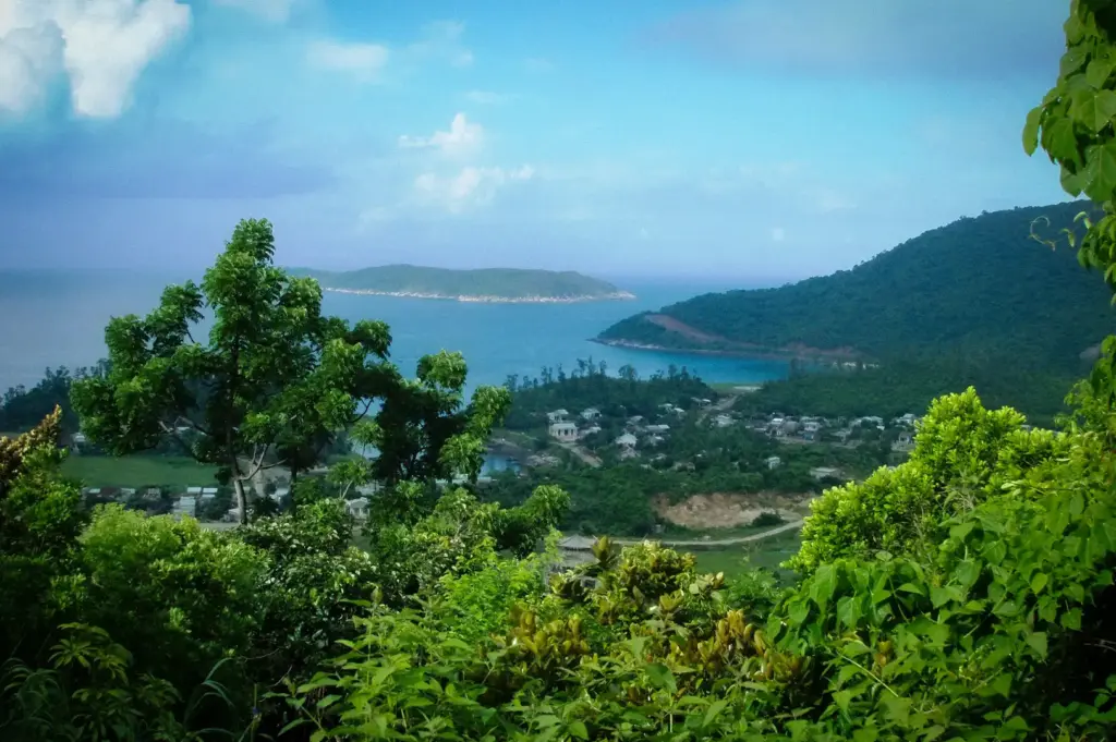 Elevated scenic view of lush green hillsides, a coastal village, and blue ocean waters around the Cham Islands in Vietnam